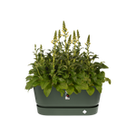 greenville pflanzgefäß 80cm rollen laubgrün